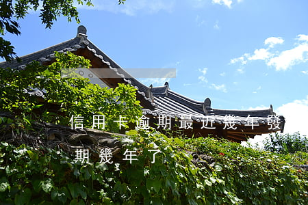 信用卡逾期最近幾年發(fā)卡(信用卡逾期幾年了)