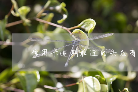 信用卡逾期最近的大忌(有信用卡逾期的嗎?)