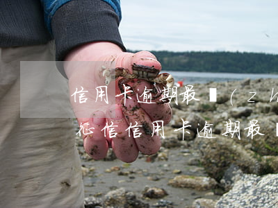 信用卡逾期最長(zhǎng)多久不納入征信(信用卡逾期最長(zhǎng)多久不納入征信查詢)