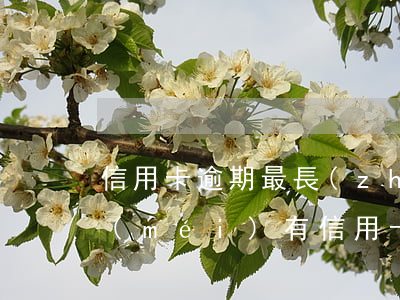 信用卡逾期最長(zhǎng)幾年-有沒(méi)有信用卡逾期兩年以上的
