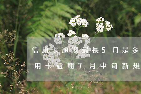 信用卡逾期最長5月是多少天(2020年信用卡逾期7月中旬新規(guī))