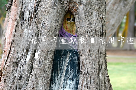 信用卡逾期最長 信用卡逾期最長多久會被起訴