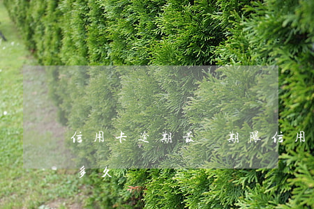 信用卡逾期最長期限(信用卡逾期最長期限是多久)