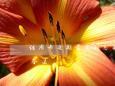 信用卡逾期最高利息案例(信用卡逾期利息高合法嗎)