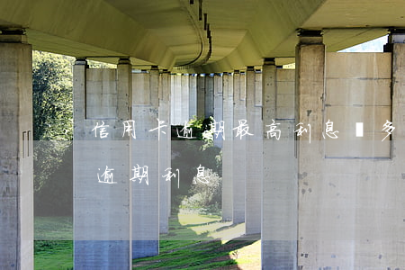 信用卡逾期最高利息為多少天(各銀行信用卡逾期利息)
