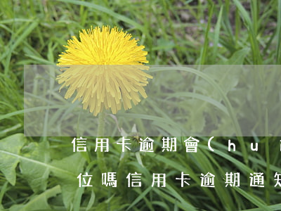 信用卡逾期會(huì)上報(bào)單位嗎(信用卡逾期通知單位了,單位會(huì)怎么處理)