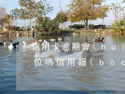 信用卡逾期會(huì)上報(bào)單位嗎(信用報(bào)告顯示逾期有影響嗎)