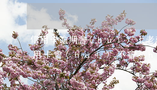 信用卡逾期會(huì)上老賴名單嗎(欠信用卡會(huì)不會(huì)成為老賴)