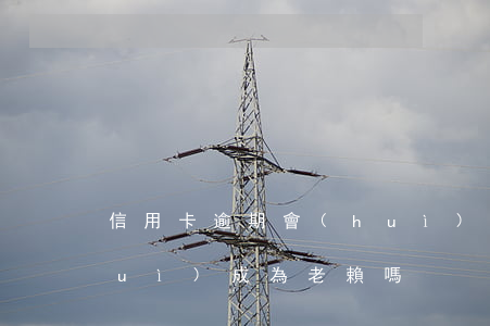 信用卡逾期會(huì)上老賴(逾期會(huì)成為老賴嗎)
