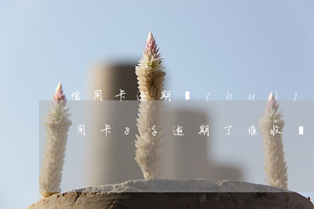 信用卡逾期會(huì)上門催收合法嗎 信用卡8千逾期了,催收會(huì)上門嗎?