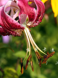 信用卡逾期會(huì)上門催收嗎會(huì)上門嗎-信用卡逾期會(huì)上門催收嗎會(huì)上門嗎知乎