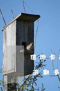 信用卡逾期會(huì)上門收錢嗎(信用卡逾期多久會(huì)被上門收錢)