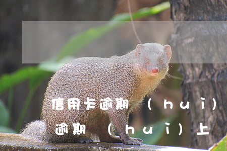 信用卡逾期會(huì)上門核訪嗎(信用卡逾期會(huì)上門核訪嗎)