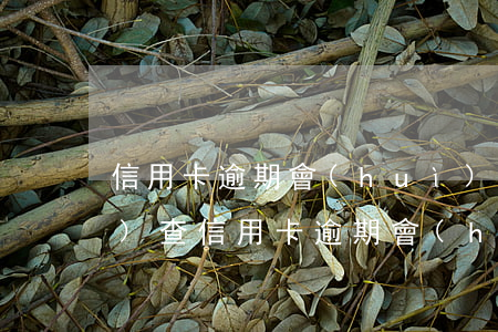 信用卡逾期會(huì)上門調(diào)查(信用卡逾期會(huì)上門調(diào)查)