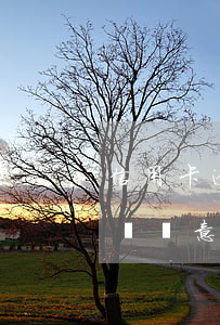 信用卡逾期會(huì)不會(huì)上門惡意催款-信用貸款逾期會(huì)上門催收嗎?