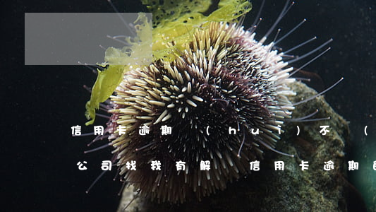 信用卡逾期會(huì)不會(huì)來公司找我(有解決信用卡逾期的公司嗎)