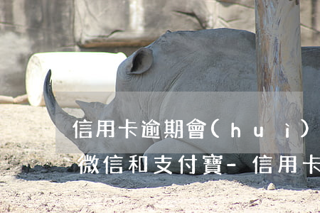 信用卡逾期會(huì)不會(huì)凍微信和支付寶-信用卡逾期會(huì)不會(huì)凍微信和支付寶賬戶