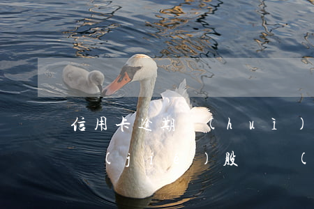信用卡逾期會(huì)不會(huì)凍結(jié)股東權(quán)益-信用卡逾期會(huì)不會(huì)凍結(jié)股東權(quán)益呢