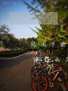 信用卡逾期會(huì)不會(huì)寄律師函(欠信用卡收到律師函多久會(huì)起訴)