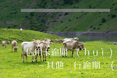 信用卡逾期會(huì)不會(huì)封閉-其他銀行逾期會(huì)封所有信用卡