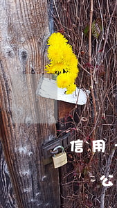 信用卡逾期會(huì)不會(huì)影響公司賬戶-信用卡逾期會(huì)不會(huì)影響公司賬戶使用
