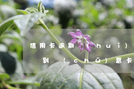 信用卡逾期會(huì)不會(huì)影響到儲(chǔ)蓄卡-信用卡逾期會(huì)不會(huì)影響到儲(chǔ)蓄卡使用