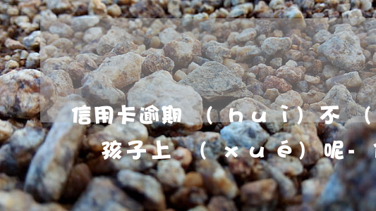 信用卡逾期會(huì)不會(huì)影響孩子上學(xué)呢-信用卡逾期會(huì)不會(huì)影響孩子上學(xué)呢知乎