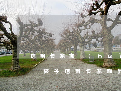 信用卡逾期會(huì)不會(huì)影響孩子（信用卡逾期到底會(huì)不會(huì)影響子女）