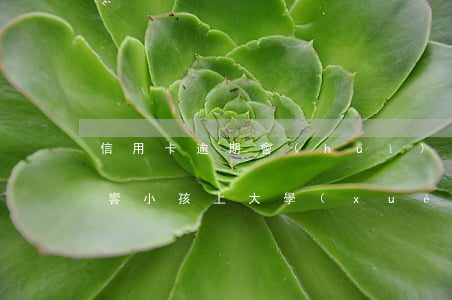 信用卡逾期會(huì)不會(huì)影響小孩上大學(xué)-信用卡逾期會(huì)不會(huì)影響小孩上大學(xué)呢
