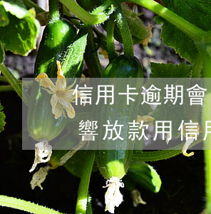 信用卡逾期會(huì)不會(huì)影響放款(用信用卡會(huì)影響房貸放款嗎)