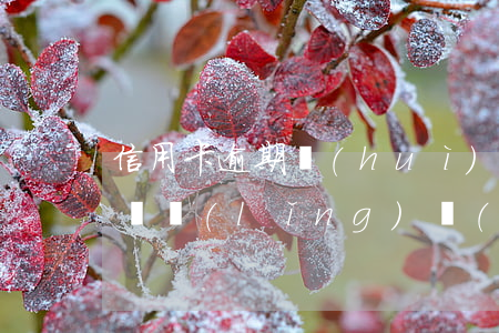 信用卡逾期會(huì)不會(huì)影響領(lǐng)結(jié)婚證-信用卡逾期會(huì)不會(huì)影響領(lǐng)結(jié)婚證的人