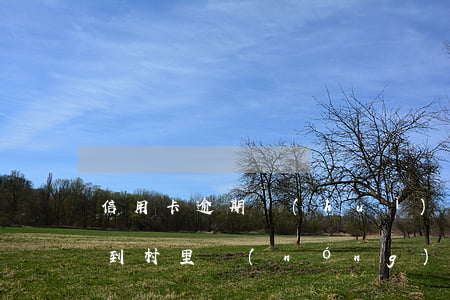 信用卡逾期會(huì)不會(huì)找到村里(農(nóng)村信用社信用卡逾期一周)