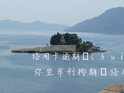 信用卡逾期會(huì)不會(huì)抓你坐牢(刑拘期間信用卡逾期)