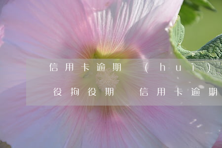 信用卡逾期會(huì)不會(huì)拘役(拘役期間信用卡逾期怎么處理)