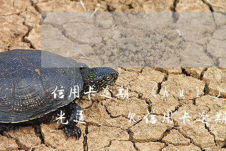 信用卡逾期會(huì)不會(huì)曝光通訊錄(欠信用卡逾期多久會(huì)被網(wǎng)上通緝)