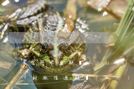 信用卡逾期會(huì)不會(huì)查封微信(逾期會(huì)封微信嗎)