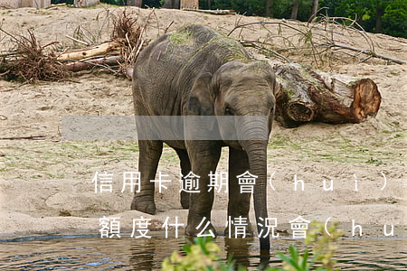 信用卡逾期會(huì)不會(huì)減額度 什么情況會(huì)降低信用卡額度