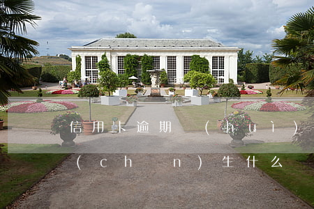 信用卡逾期會(huì)不會(huì)產(chǎn)生什么費(fèi)用(銀行卡信用卡逾期有什么后果)
