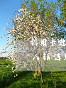 信用卡逾期會(huì)不會(huì)被人抓(信用卡逾期會(huì)不會(huì)被公安機(jī)關(guān)逮捕)