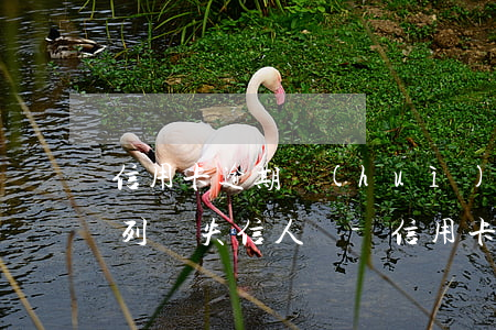 信用卡逾期會(huì)不會(huì)被列為失信人員-信用卡逾期會(huì)不會(huì)被列為失信人員名單