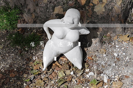 信用卡逾期會(huì)不會(huì)被列為網(wǎng)逃(欠信用卡會(huì)網(wǎng)上追逃嗎)