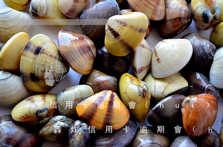 信用卡逾期會(huì)不會(huì)被轟炸(信用卡逾期會(huì)轟炸通訊錄嗎)