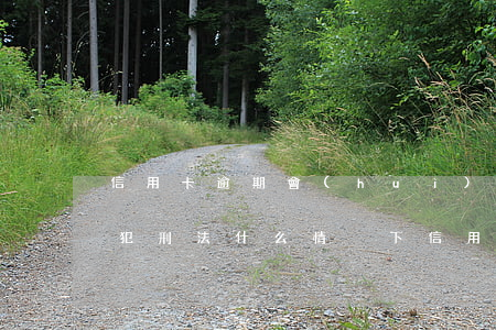 信用卡逾期會(huì)不會(huì)觸犯刑法(什么情況下信用卡逾期會(huì)坐牢)