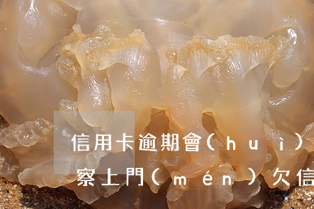 信用卡逾期會(huì)不會(huì)警察上門(mén)(欠信用卡警察會(huì)上門(mén)嗎)
