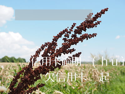 信用卡逾期會(huì)不起訴就直接抓人嗎(欠信用卡沒起訴會(huì)抓嗎)
