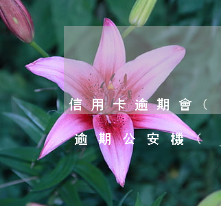 信用卡逾期會(huì)介入公安嗎(信用卡逾期公安機(jī)關(guān)會(huì)介入嗎)