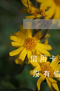 信用卡逾期會(huì)仍沒有能力還的(有沒有信用卡逾期沒還的)