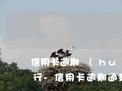 信用卡逾期會(huì)以什么方式通知銀行-信用卡 逾期 通知