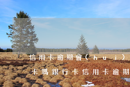 信用卡逾期會(huì)停儲(chǔ)蓄卡嗎 銀行卡信用卡逾期有什么后果