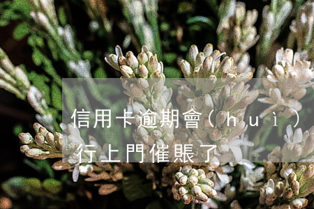信用卡逾期會(huì)催賬嗎(欠信用卡銀行上門催賬了)